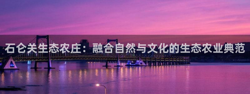 天辰娱乐总管