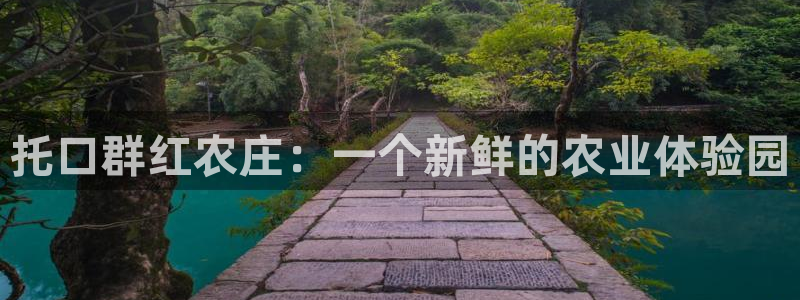 天辰娱乐下载地址