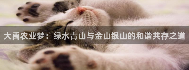 天辰娱乐论坛