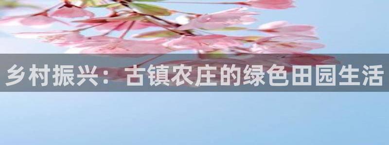 天辰娱乐文化