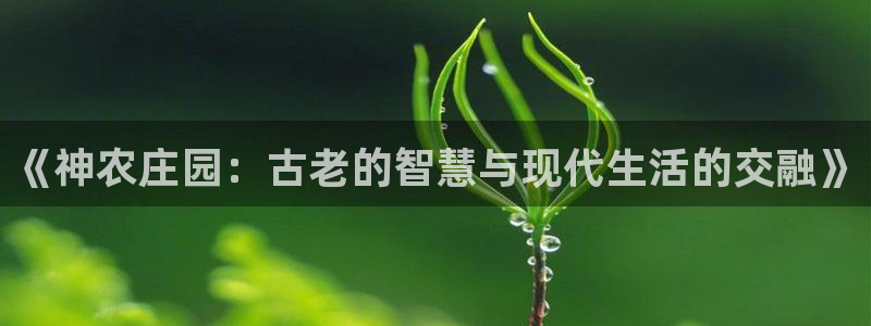 天辰娱乐481928