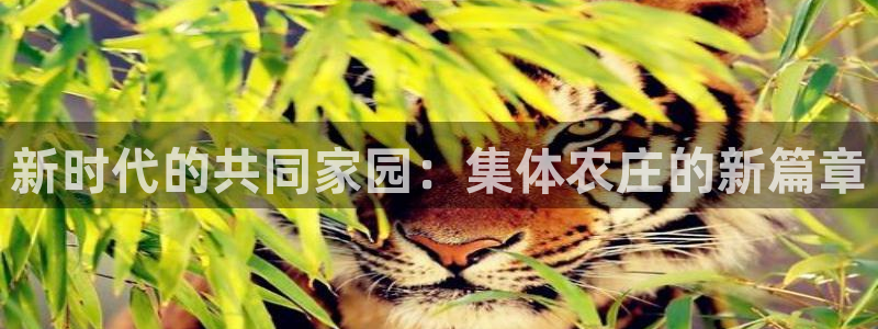 天辰娱乐厕所