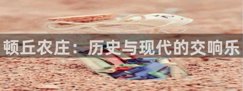 广东天辰娱乐