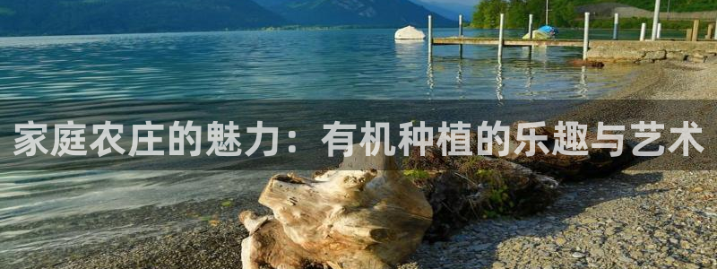 天辰娱乐平台入口