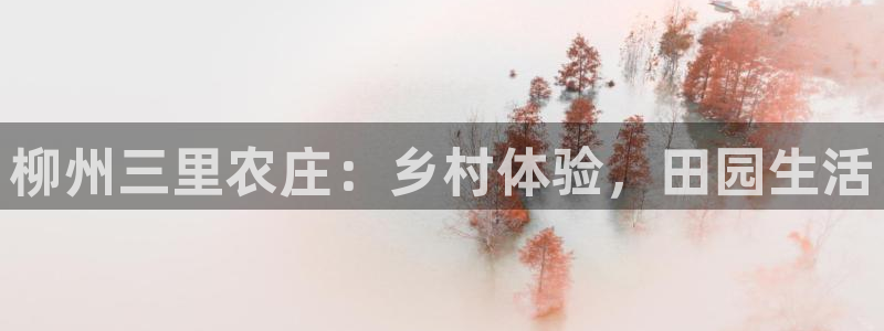 天辰娱乐557448
