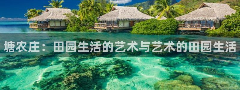 天辰娱乐入口