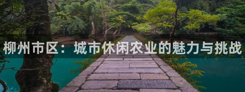 天辰娱乐白屏