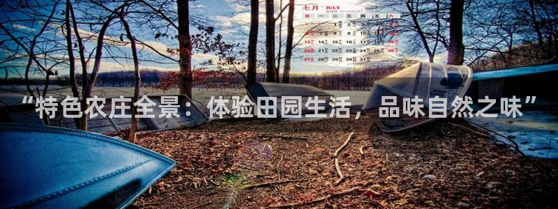 天辰娱乐平台注册
