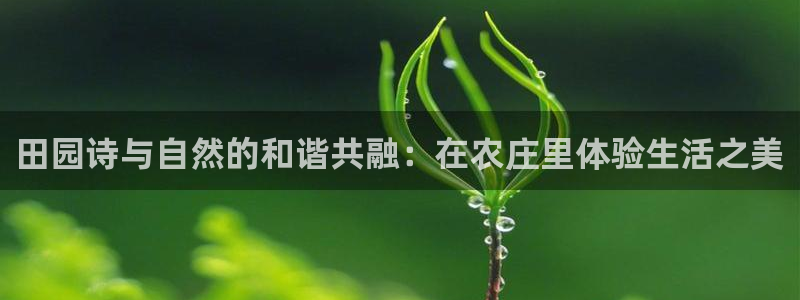 天辰娱乐appxi