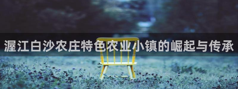 天辰宝娱乐