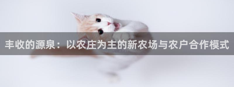 天辰娱乐解封