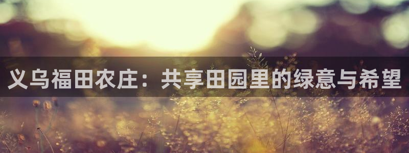 nba天辰娱乐