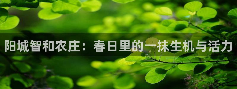 哈尔滨天辰娱乐