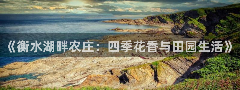 天辰娱乐 . 鱼刺