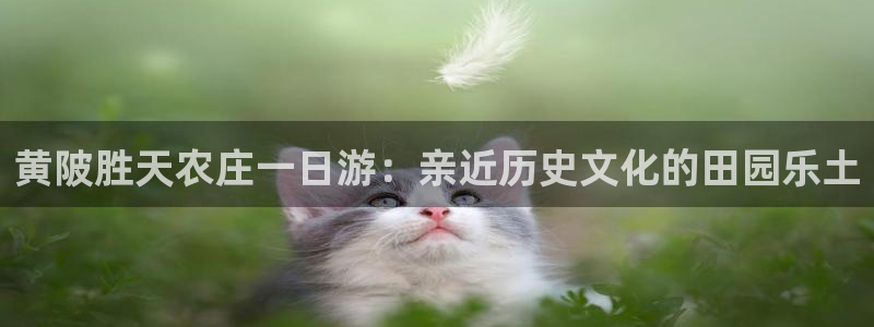 天辰娱乐22650