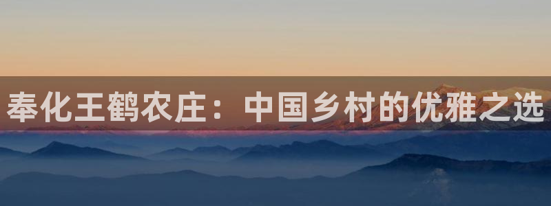 天辰娱乐新