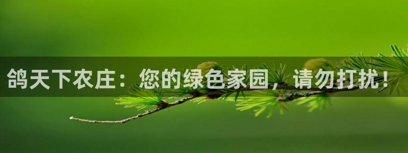 天辰a娱乐