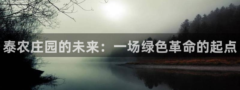 天辰娱乐维护