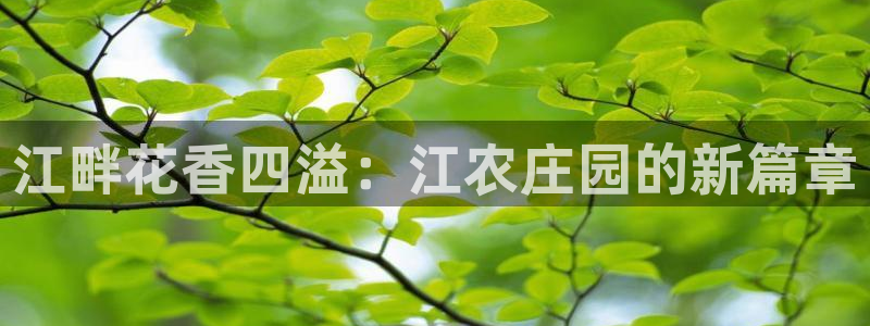 天辰娱乐84566