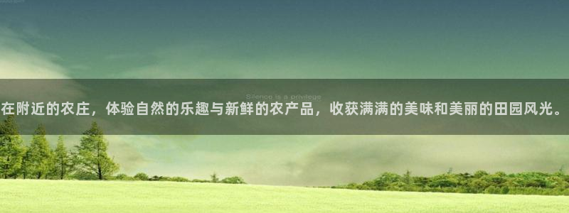 天辰娱乐跑的快