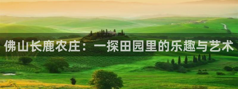 天辰娱乐网