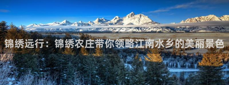 天辰娱乐平台地址在哪里