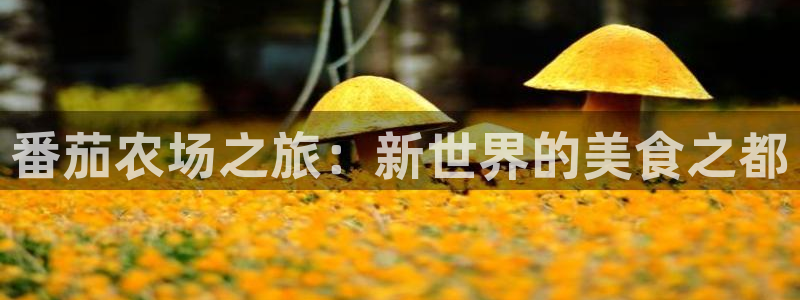 天辰娱乐小姐