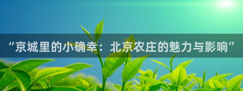 天辰娱乐测试