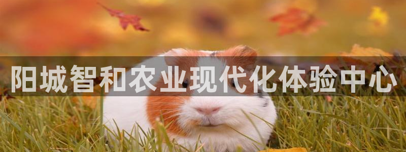 天辰娱乐官网平台下载
