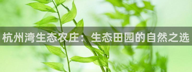 天辰娱乐44616