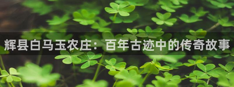 天辰臣娱乐