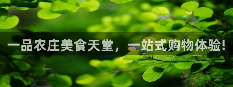 天辰水娱乐