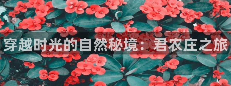 nba天辰娱乐