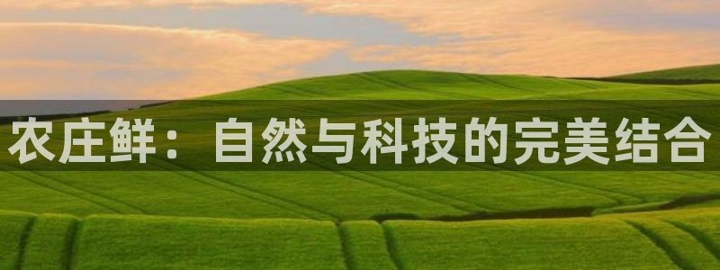 天辰娱乐1966