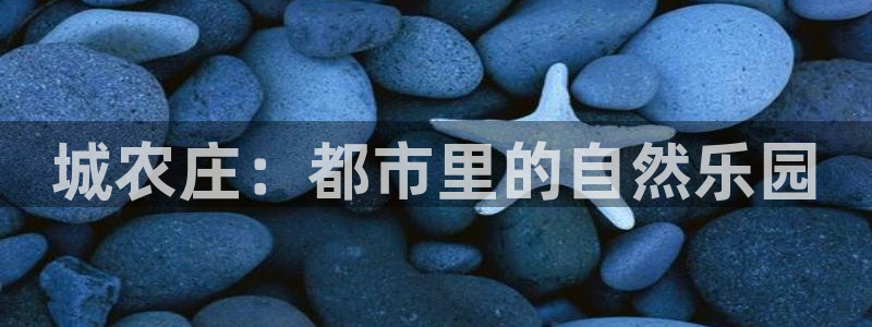 天富天辰娱乐