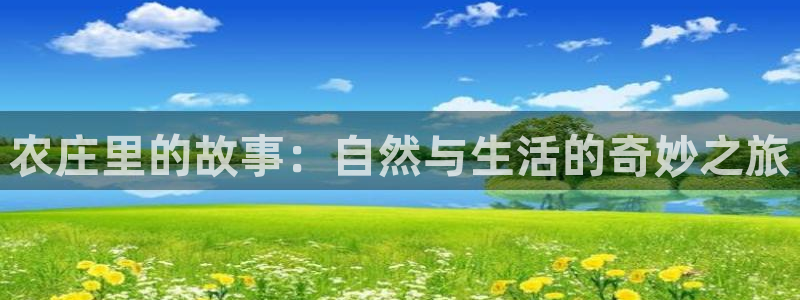 天辰娱乐-q
