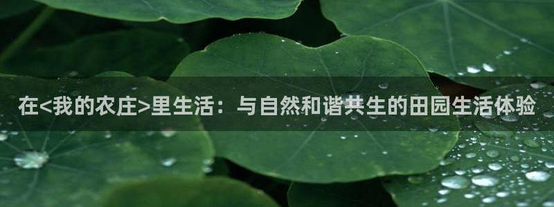 天辰娱乐主页