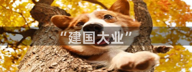 天辰宝宝娱乐