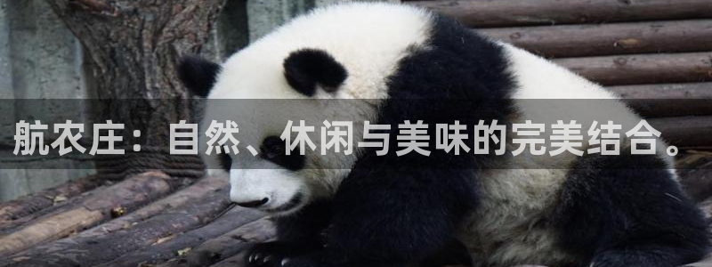 天辰娱乐测速