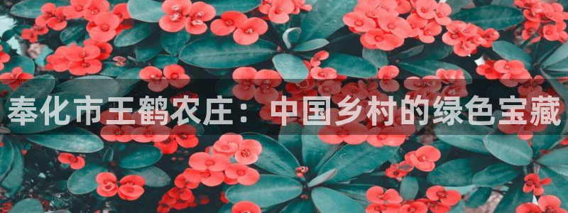 天辰娱乐文化