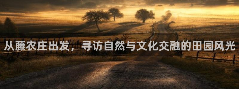 nba天辰娱乐