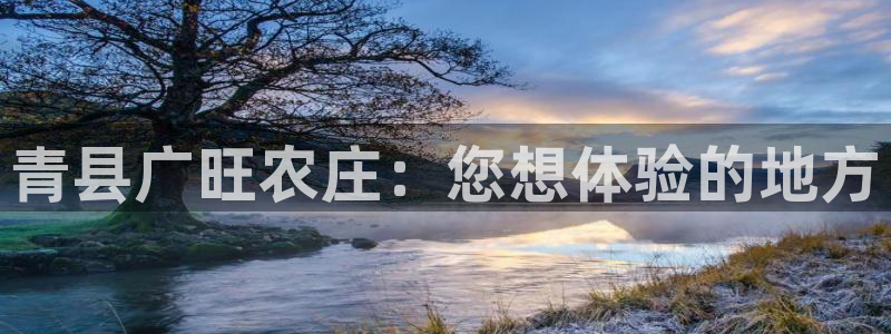天辰娱乐557696