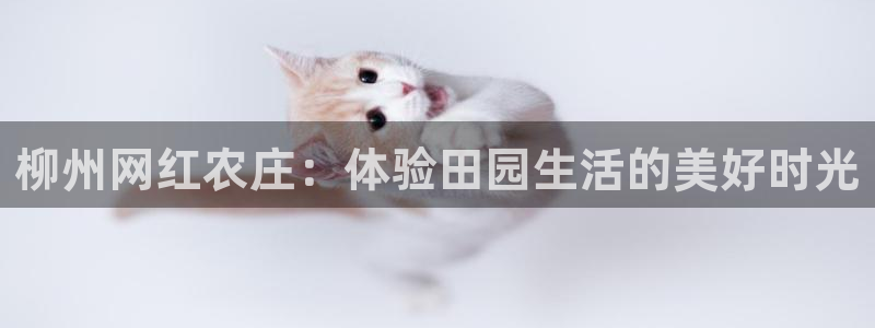 天辰娱乐官网