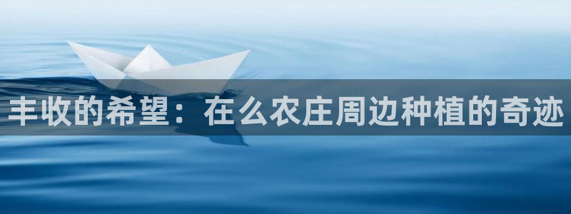 天辰娱乐文化