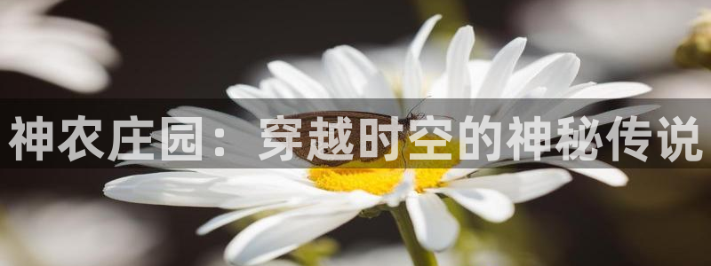 天辰娱乐ttf