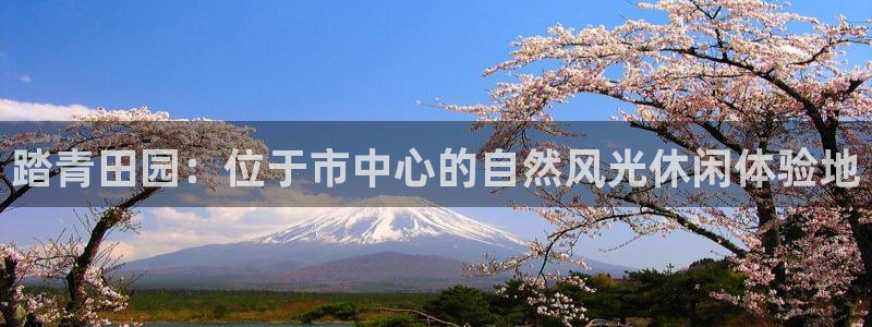 天辰娱乐彩票
