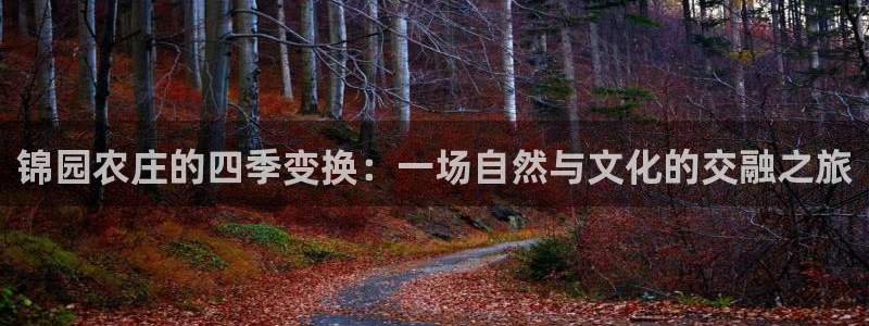 天辰娱乐黑人