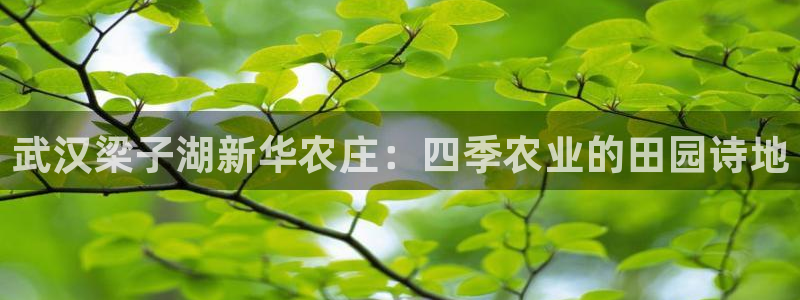 天辰娱乐游戏平台怎么样