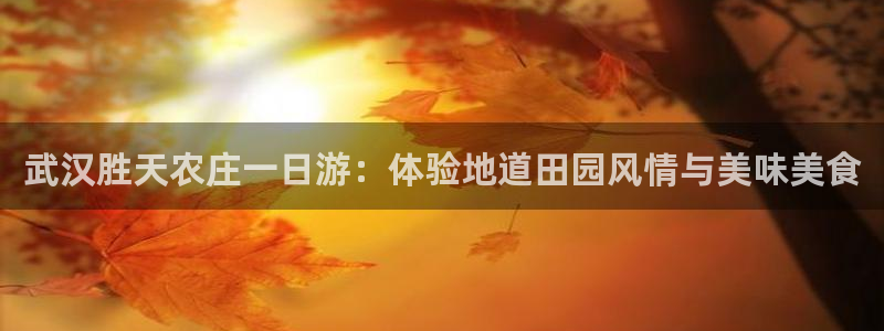 天辰娱乐网址娱乐游戏