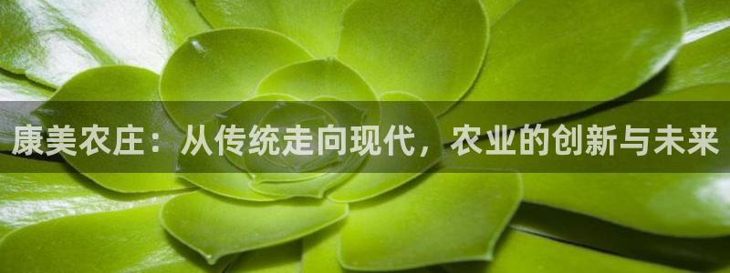 天辰娱乐信誉